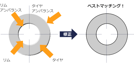 オプトライドプログラムとは