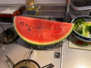 SUICA-97769579_3120417211359570_4395165301012955136_n