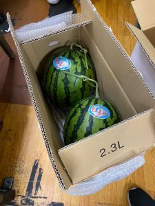 SUICA-97788087_3120417064692918_1640786212694261760_n