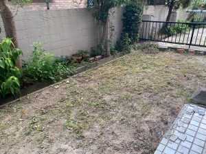 garden-09